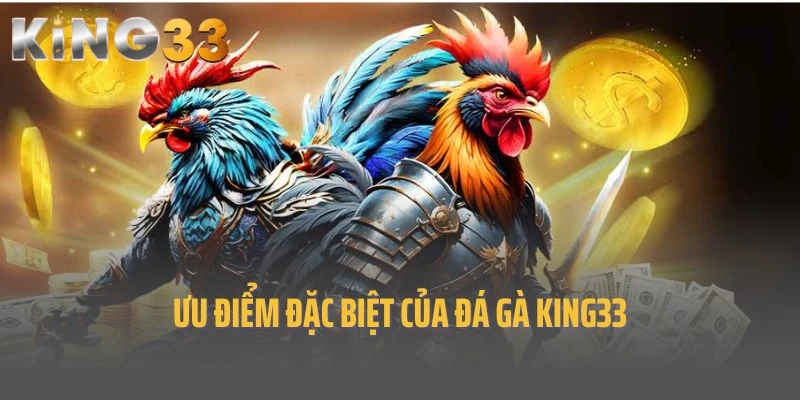 Ưu điểm nổi trội, ấn tượng hàng đầu của đá gà King33