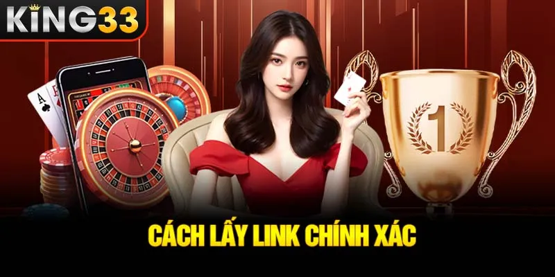 cach-lay-link-chinh-xac_29_11zon